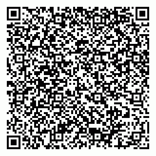 vCard 79051500295