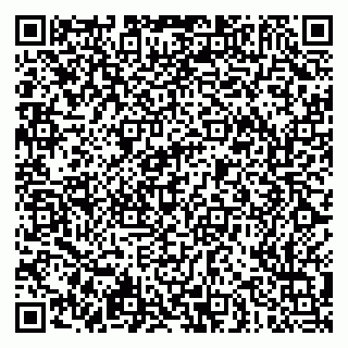 vCard 79051500299