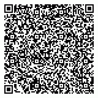 vCard 79051500300