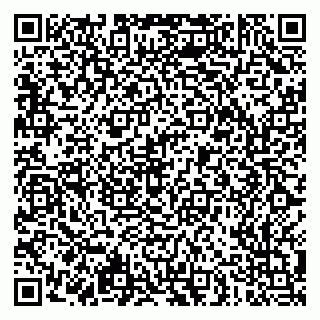 vCard 79051500307