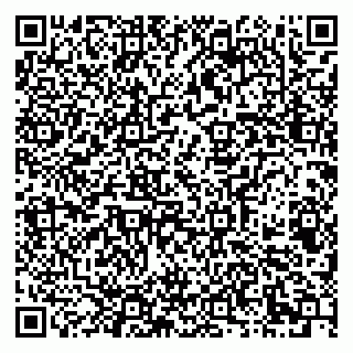 vCard 79051500310
