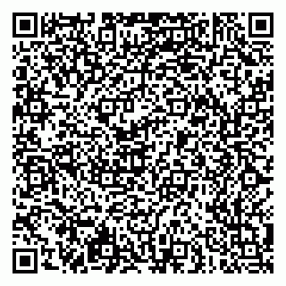 vCard 79051500311