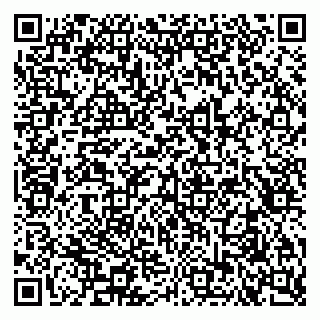 vCard 79051500312