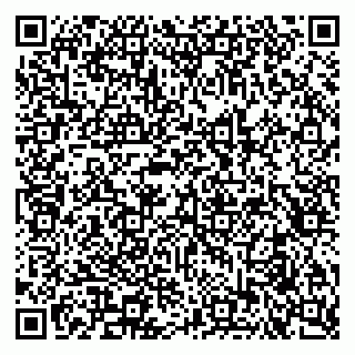 vCard 79051500313