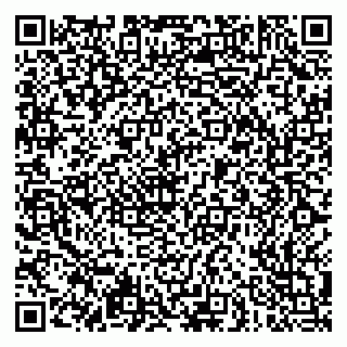 vCard 79051500314