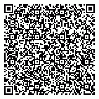 vCard 79051500316