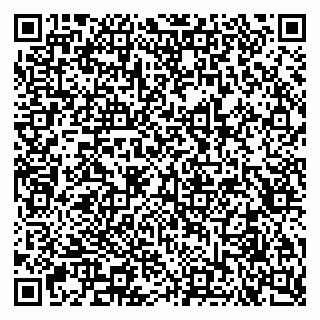 vCard 79051500320