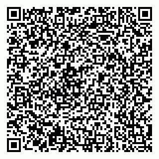 vCard 79051500331
