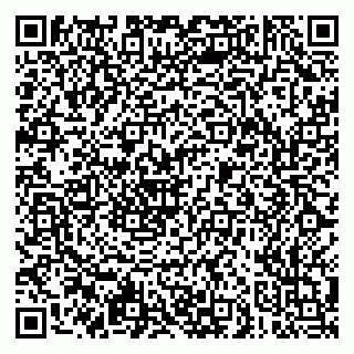 vCard 79051500333