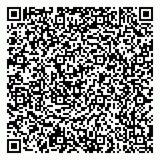 vCard 79051500353