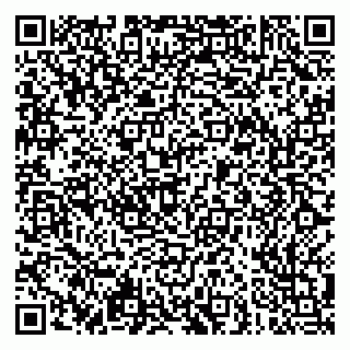 vCard 79051500370