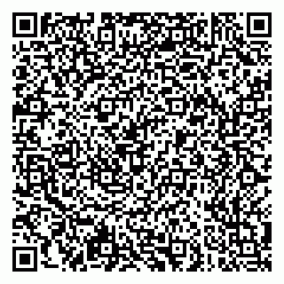 vCard 79051500371