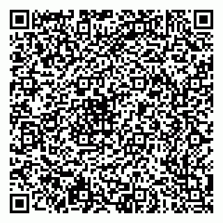 vCard 79051500380