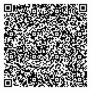 vCard 79051500381