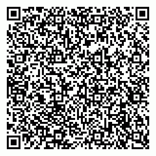 vCard 79051500387