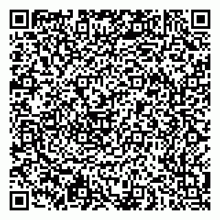 vCard 79051500389