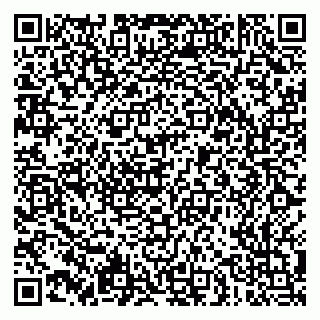 vCard 79051500397