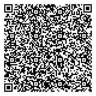 vCard 79051640011