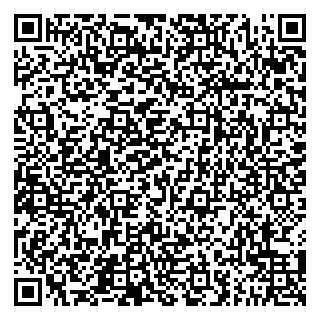 vCard 79051640013