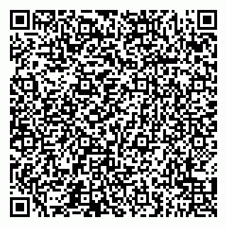 vCard 79051640035