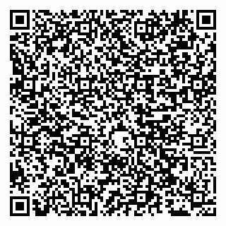 vCard 79051640041