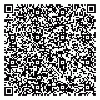 vCard 79051640048