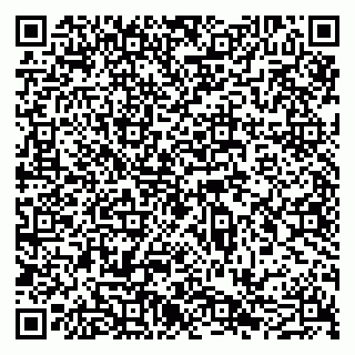 vCard 79051640060