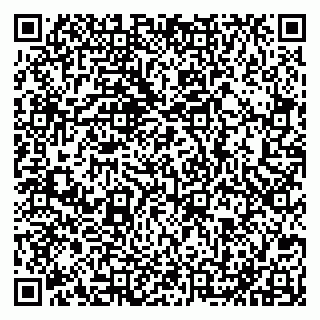 vCard 79051640081