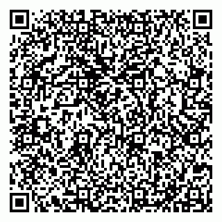 vCard 79051640095