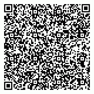 vCard 79051640113