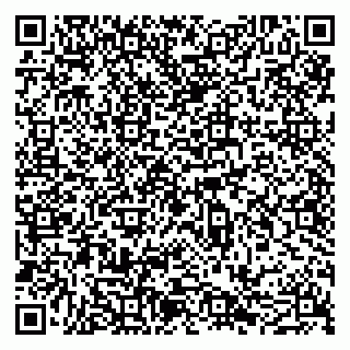 vCard 79051640131