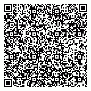 vCard 79051640132