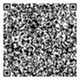 vCard 79051640133