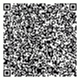 vCard 79051640138