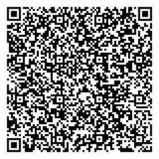 vCard 79051640163