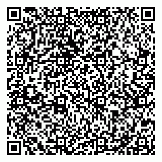 vCard 79051640174