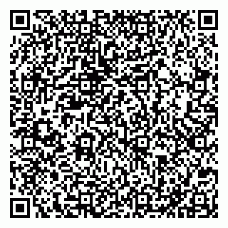 vCard 79051640198