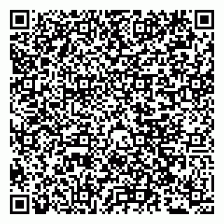 vCard 79051640199