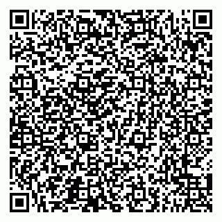 vCard 79051640225
