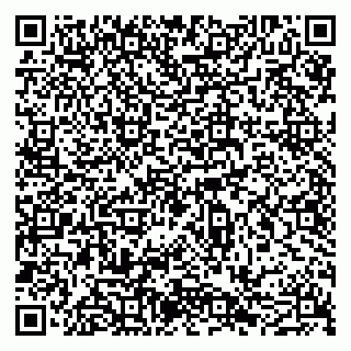 vCard 79051640235