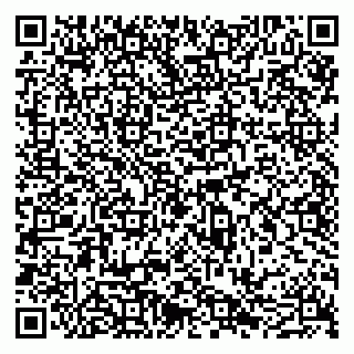 vCard 79051640239