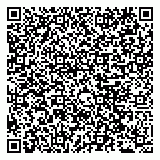 vCard 79051640249