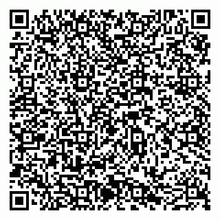 vCard 79051640267