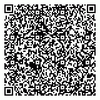 vCard 79051640272