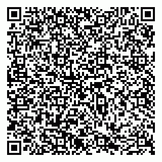 vCard 79051640275