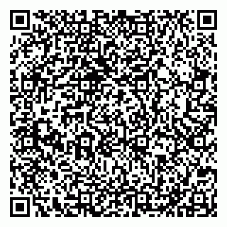 vCard 79051640291