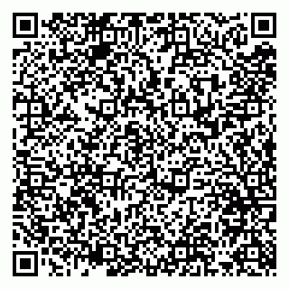 vCard 79051640297