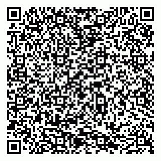 vCard 79051640298