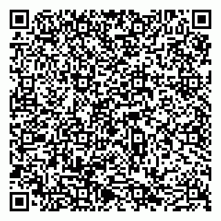 vCard 79051640304