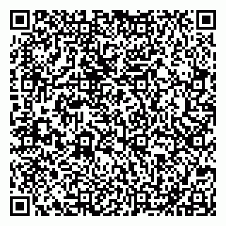 vCard 79051640313